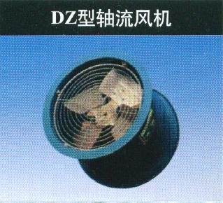 DZ���S���L�C